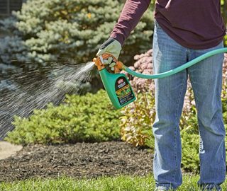 Ortho WeedClear Lawn Weed Killer Ready to Spray: For Northern Lawns, 32 oz.