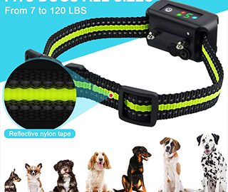 bark collar for small dogs