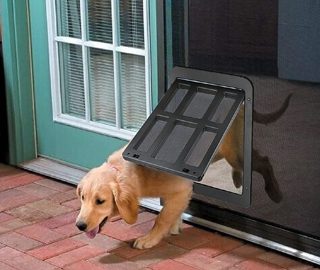 doggie door alternatives