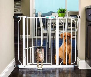 doggie door alternatives