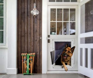 doggie door alternatives