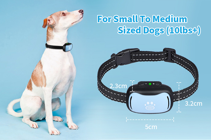 best bark collar for small dogs