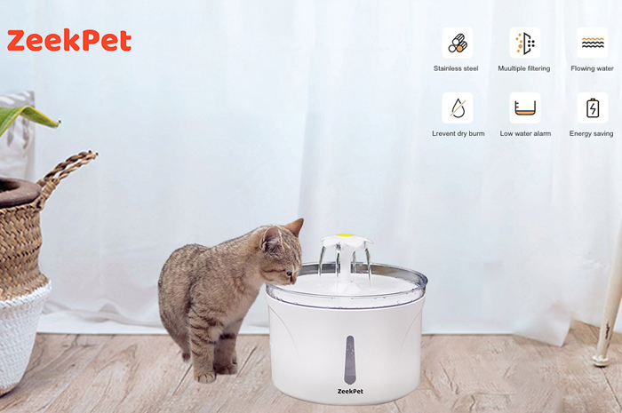 Best Pet Water Drinking Fountain