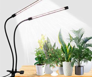 solar powered grow lights