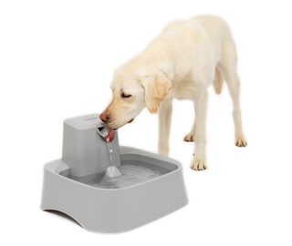 Pet Water Drinking Fountain